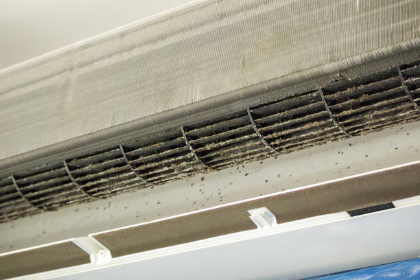 Best Air Duct Cleaning Near Me  in Anacoco, LA